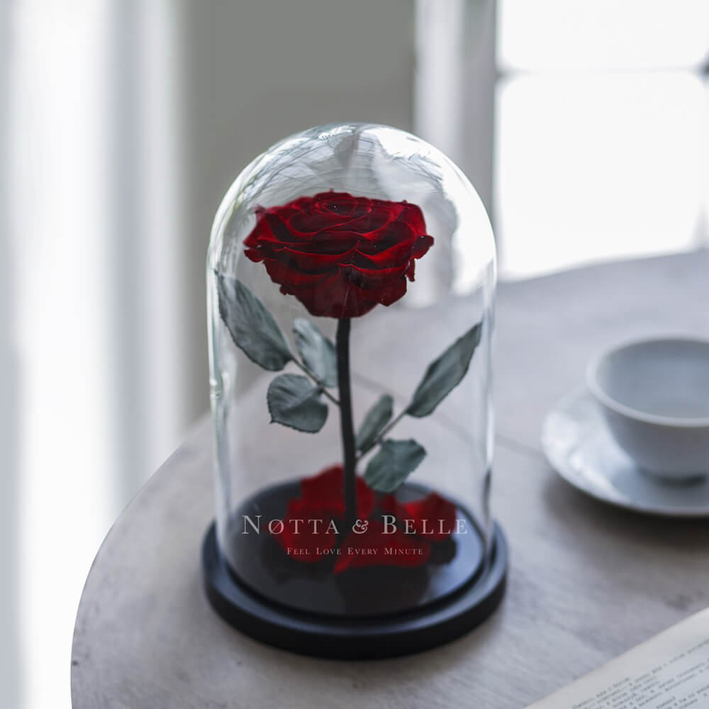 La bordo Premium Rosa