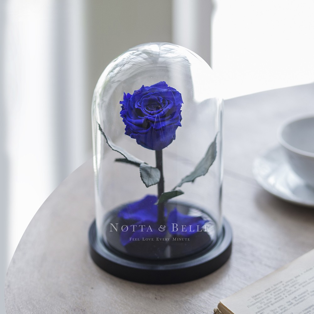 Mini dunkelblau Rose