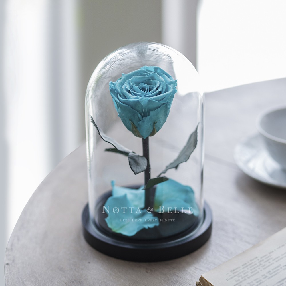 Mini turquoise Rose 