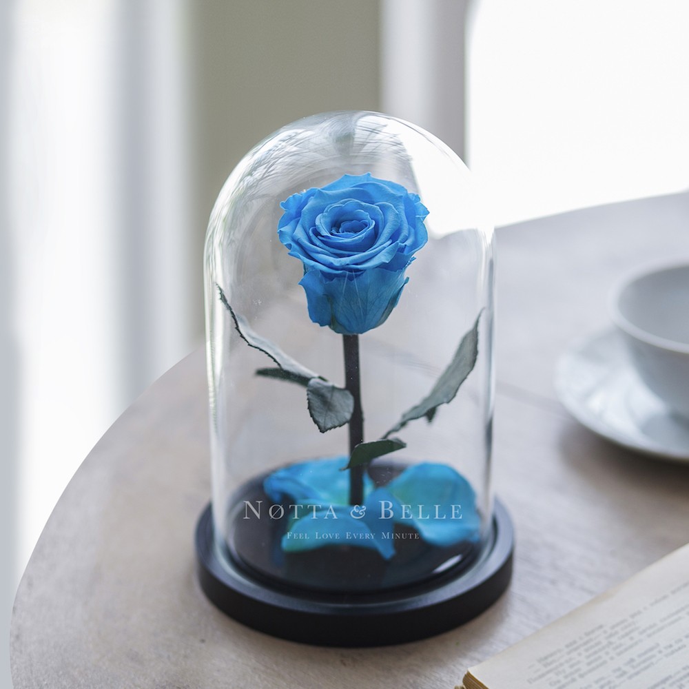 Mini light blue Rose