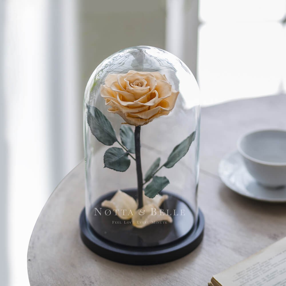 La champagne Premium Rosa