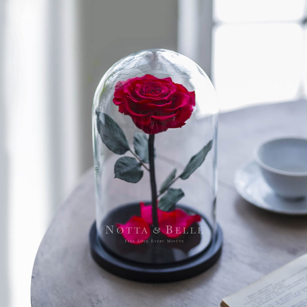 Premium fuchsie Růže ve skle