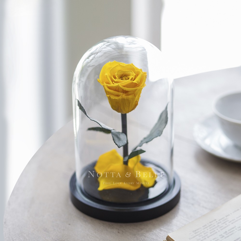 Mini žlutá Růže ve skle