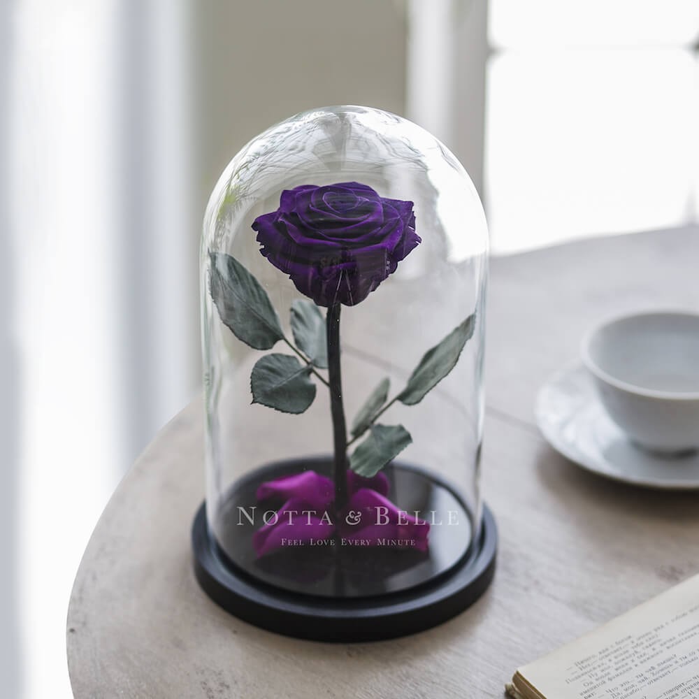 Rosa Morada Premium