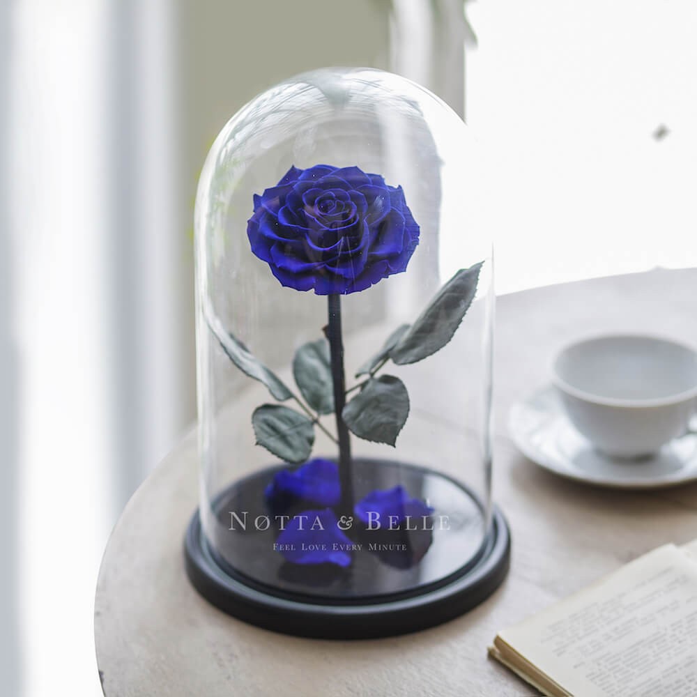 King modrá Růže ve skle
