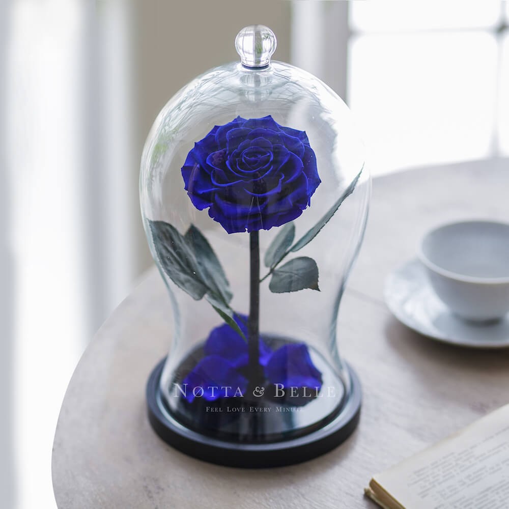 Premium X modrá Růže ve skle