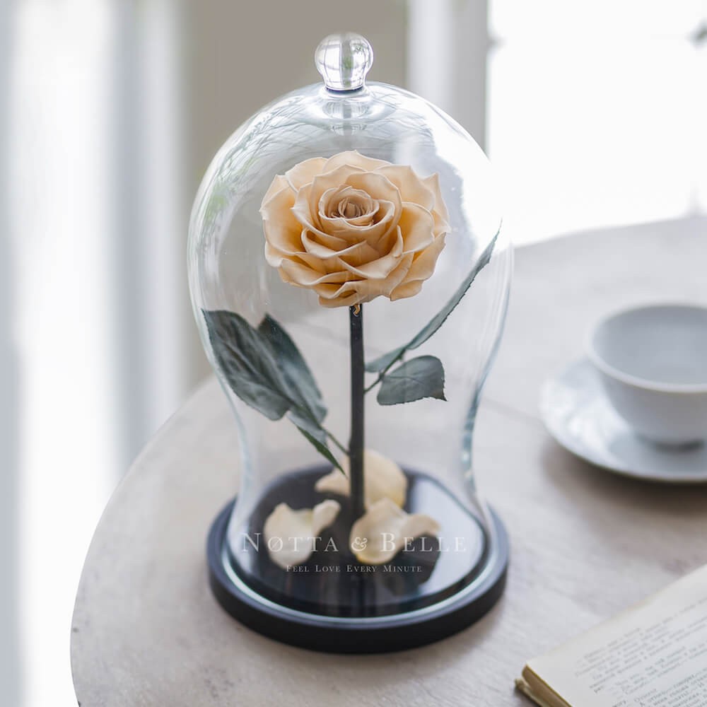 La champagne Premium X Rosa