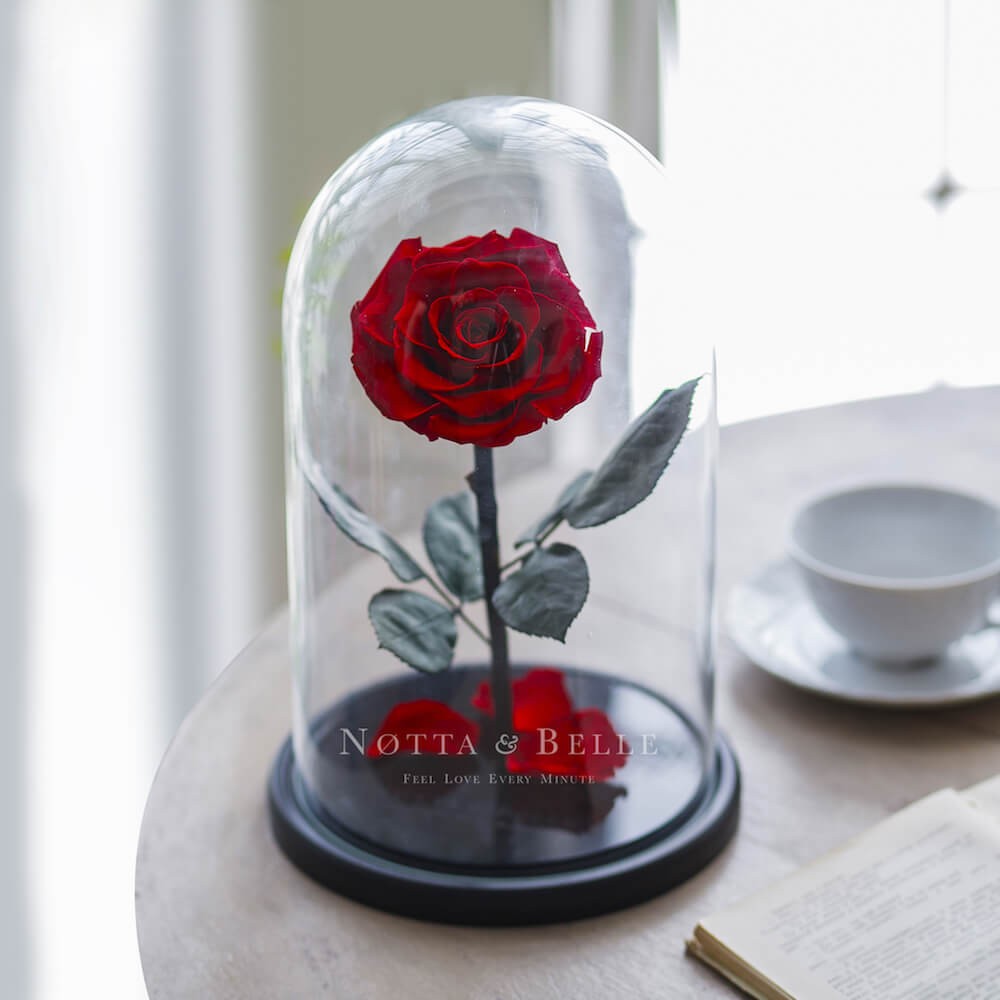 La rossa King Rosa