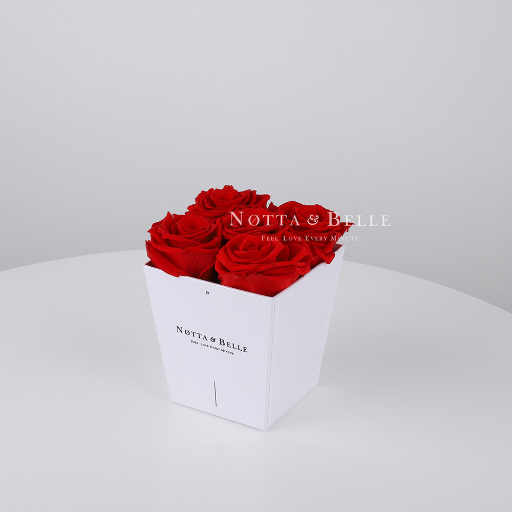 Mazzo colore rosso «Forever» in una scatola bianca - 5 pz.