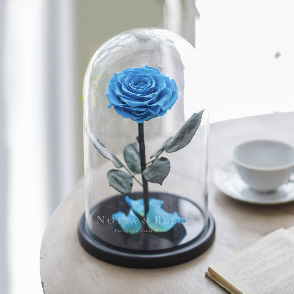 King Rosa color azzurro