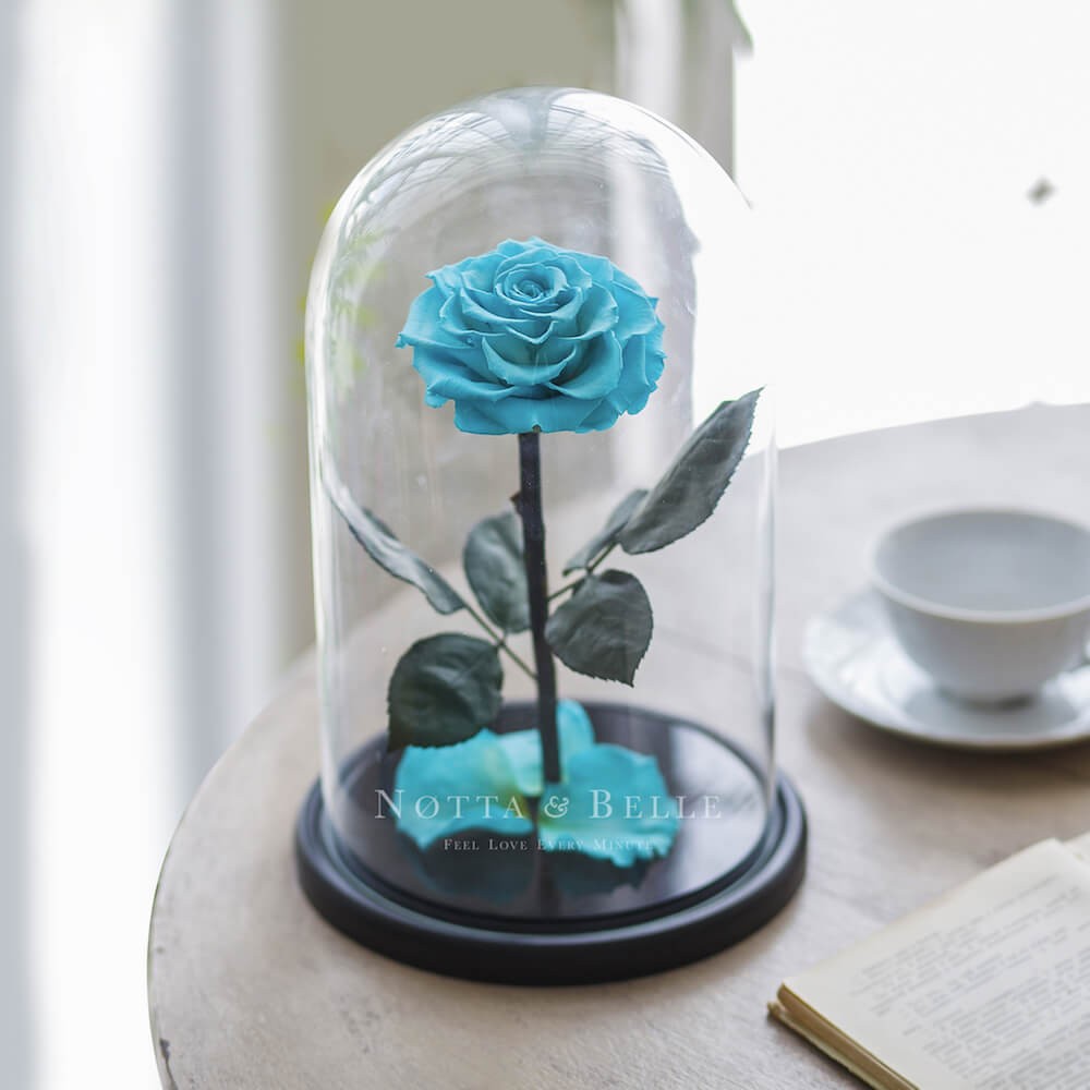 King turquoise Rose