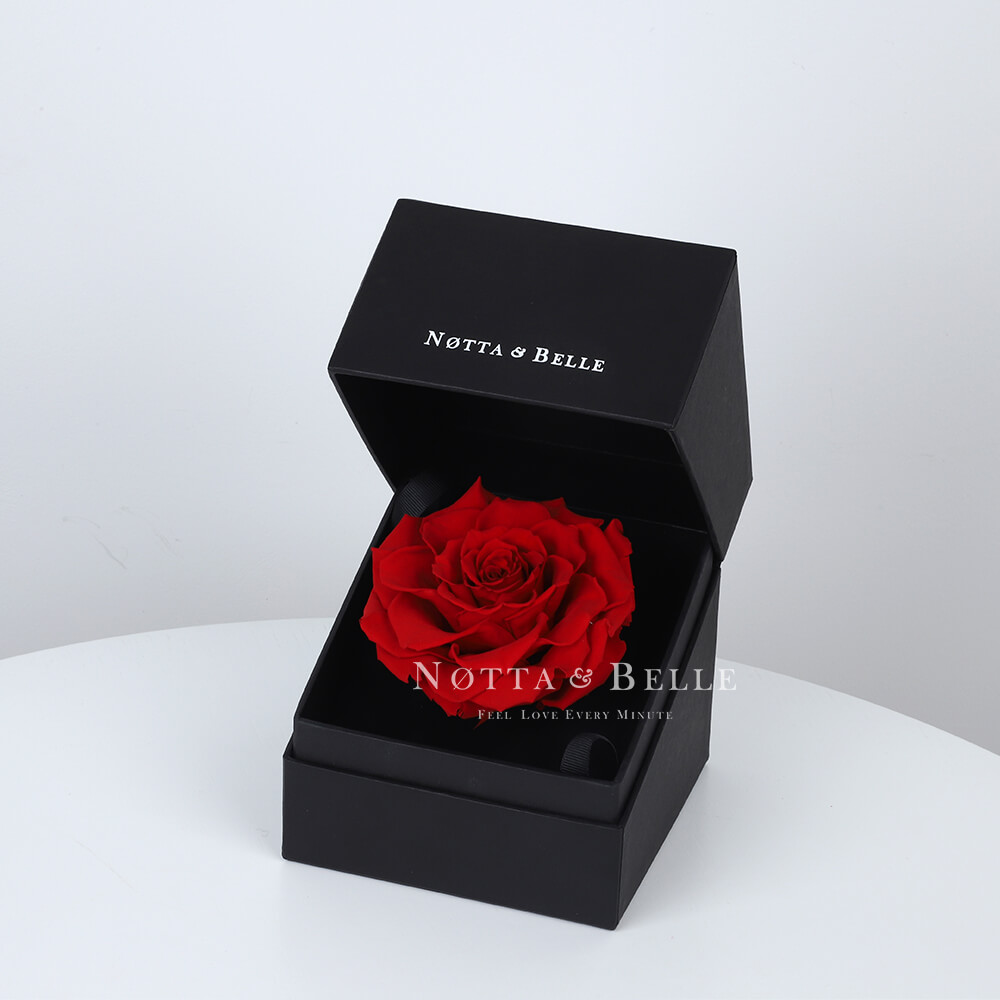 Rose rouge dans une boîte noire Premium
