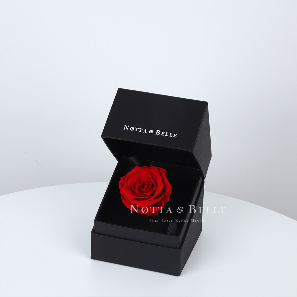 Red Rose in Black Mini Box