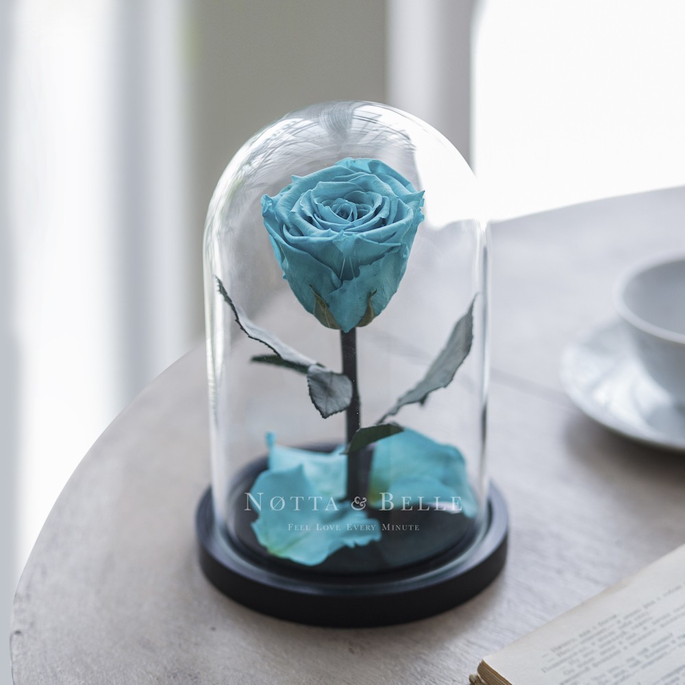 Mini tyrkysová Růže ve skle