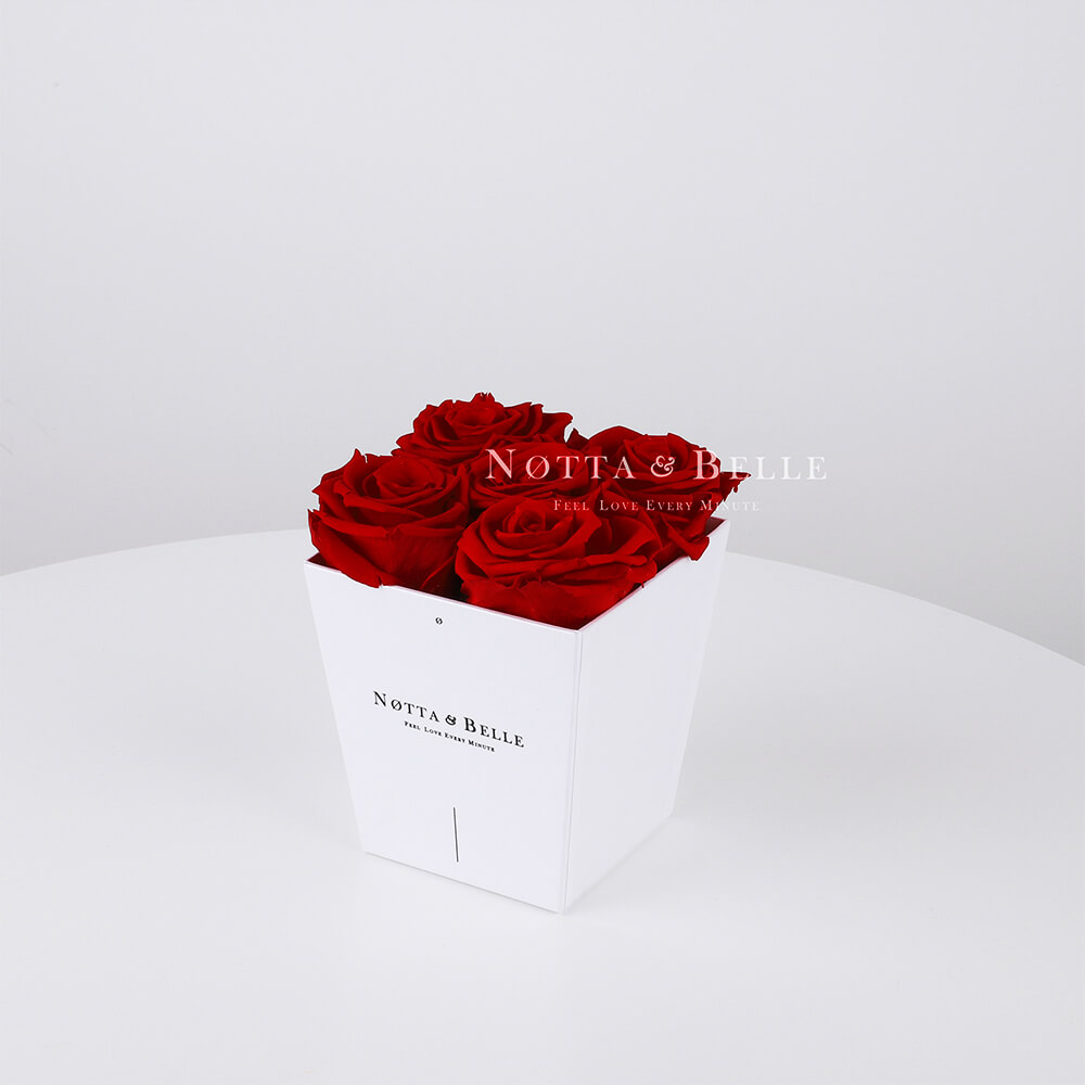 Burgundy bouquet «Forever» - 5 roses 
