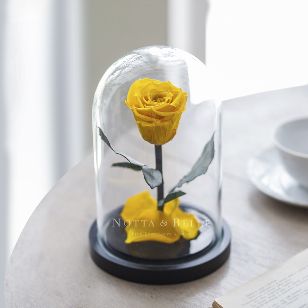 Mini gelb Rose