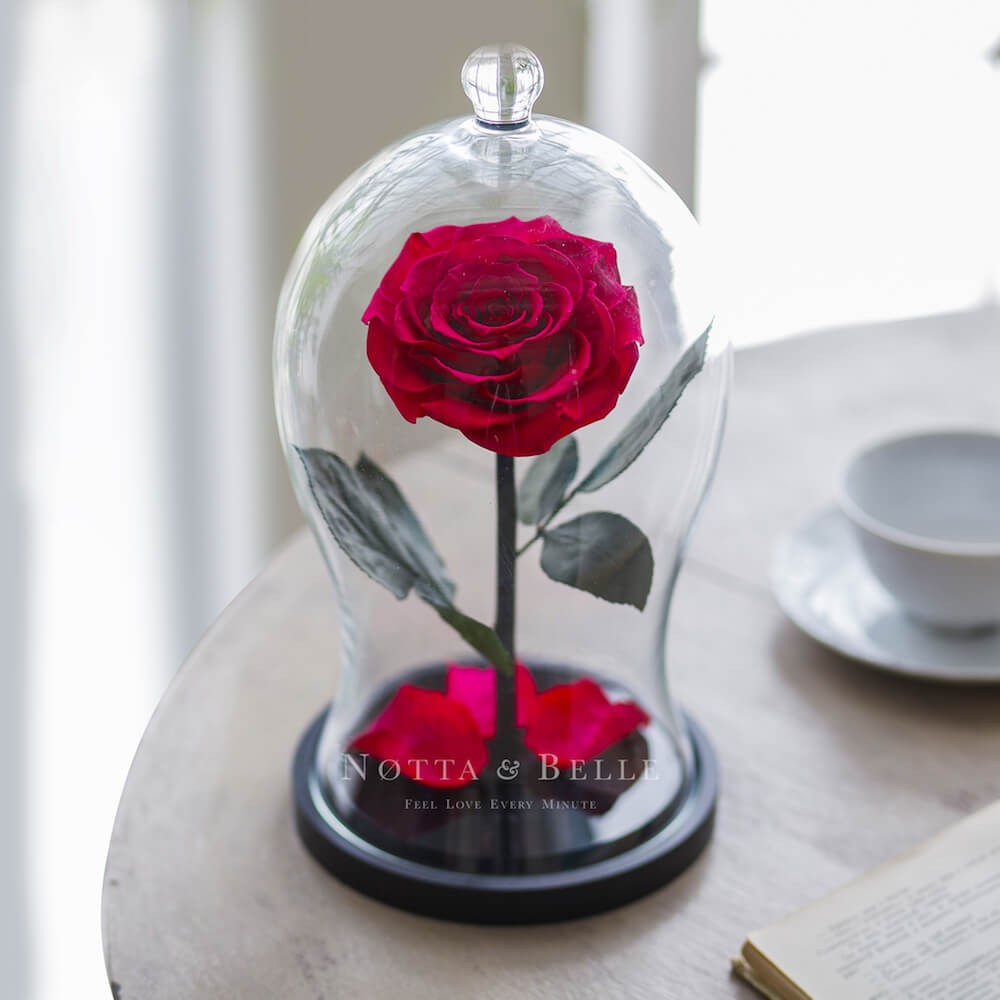 Premium X fuchsie Růže ve skle