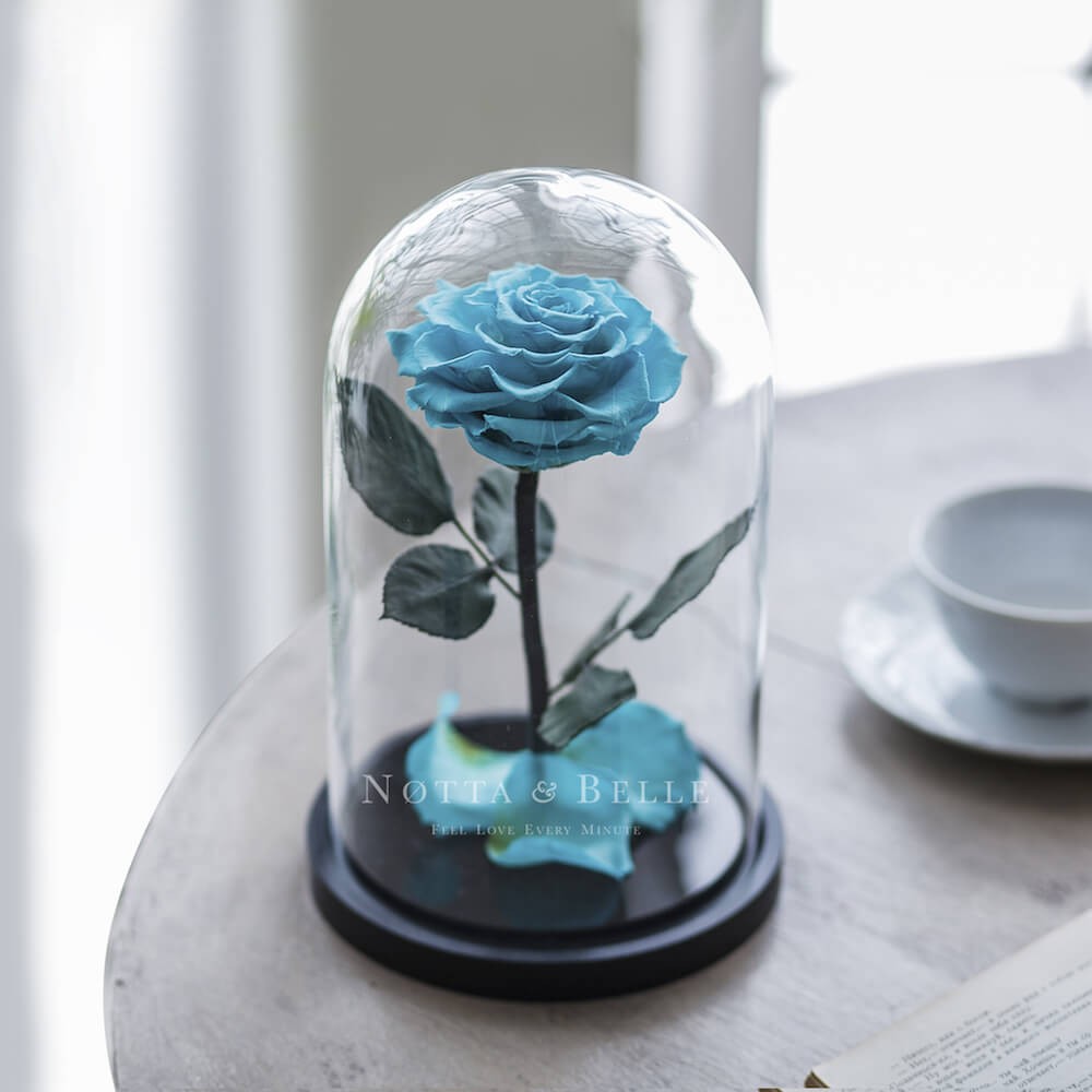 Premium türkis Rose