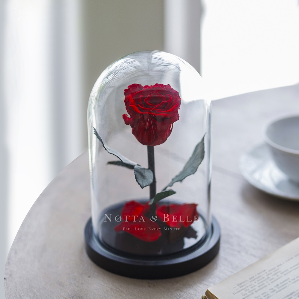 Mini červená Růže ve skle