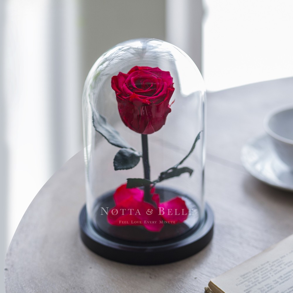 Mini fuchsie Růže ve skle