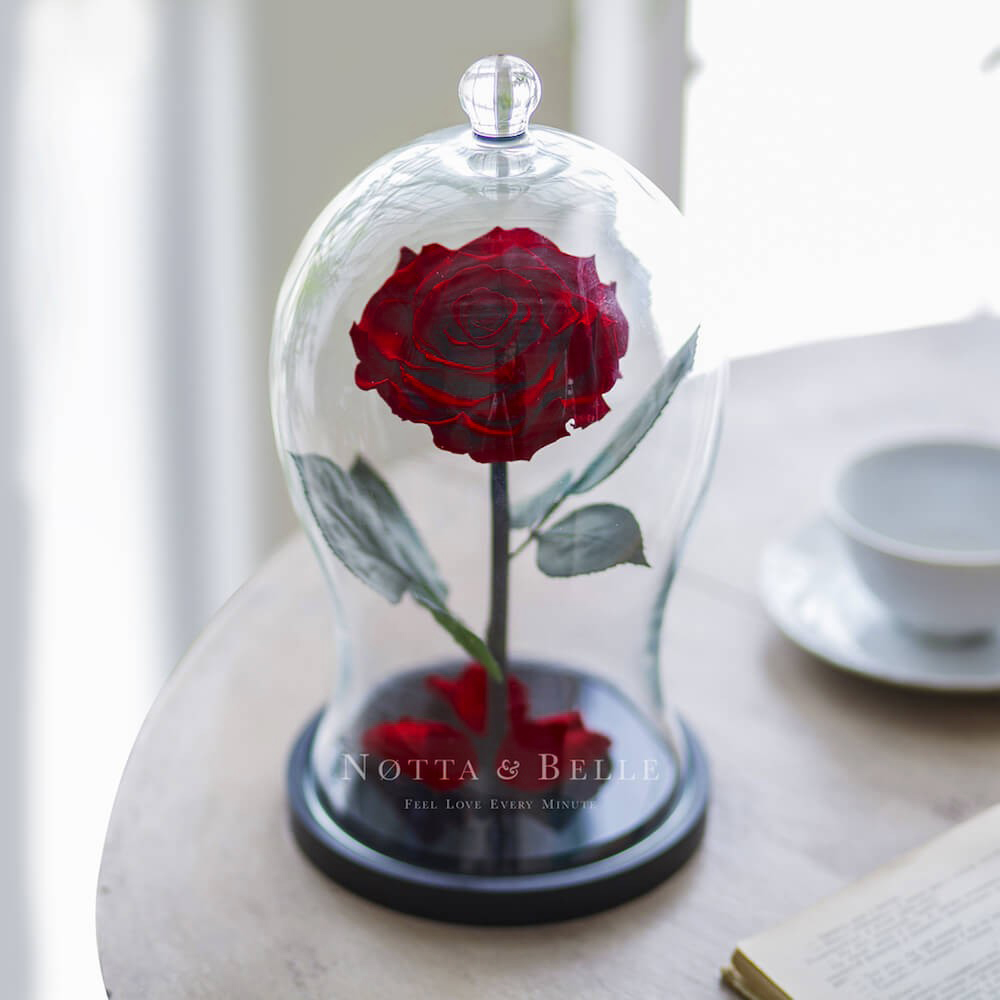 La bordo Premium X Rosa