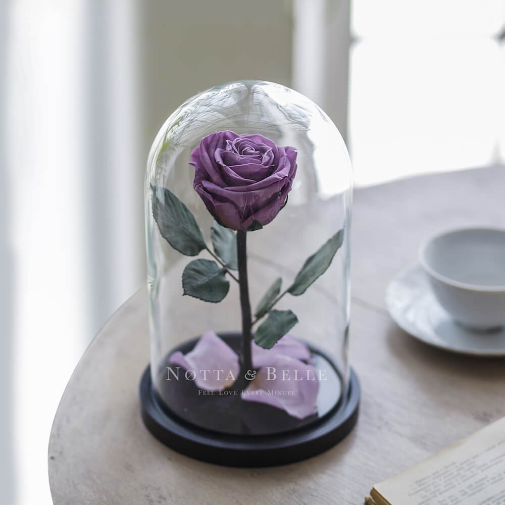 Premium levandulová Růže ve skle