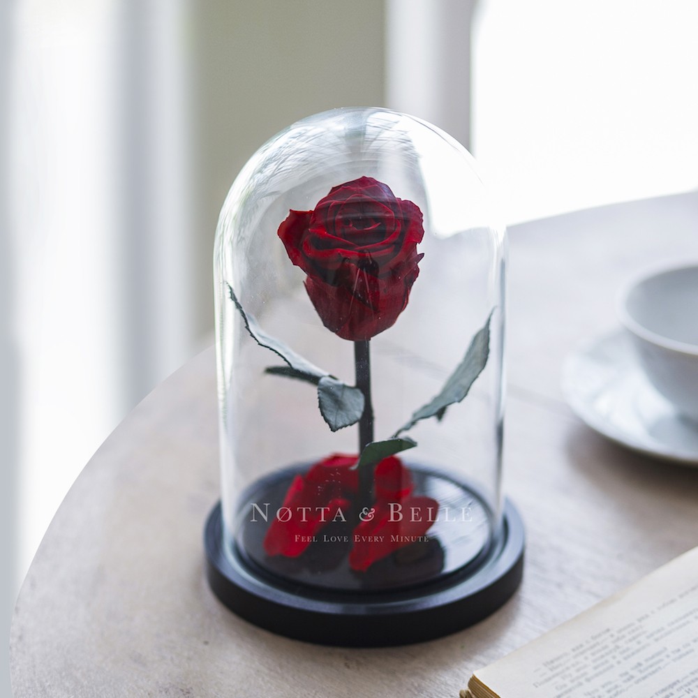 Mini vínově červená Růže ve skle