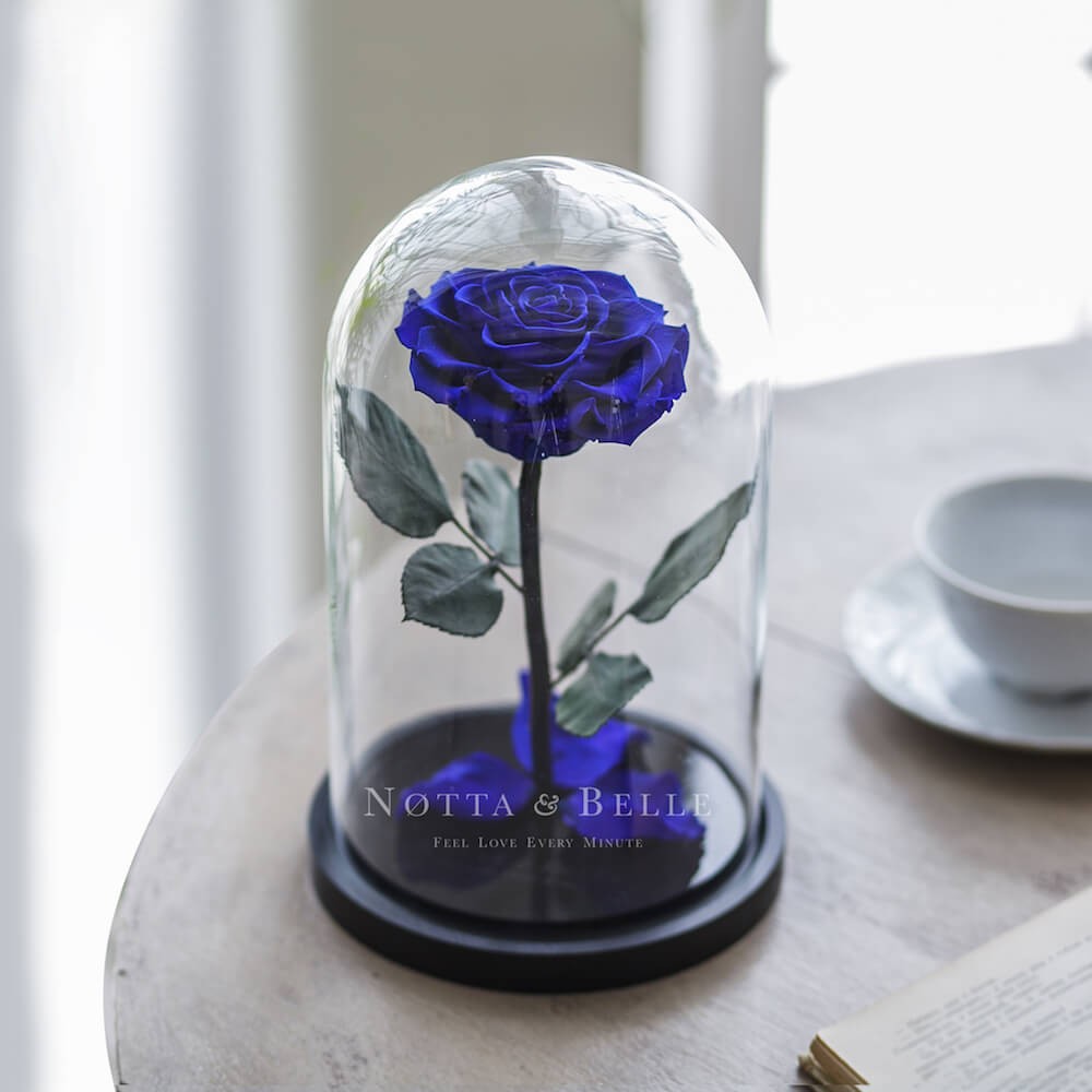 Rose Premium Bleu foncé