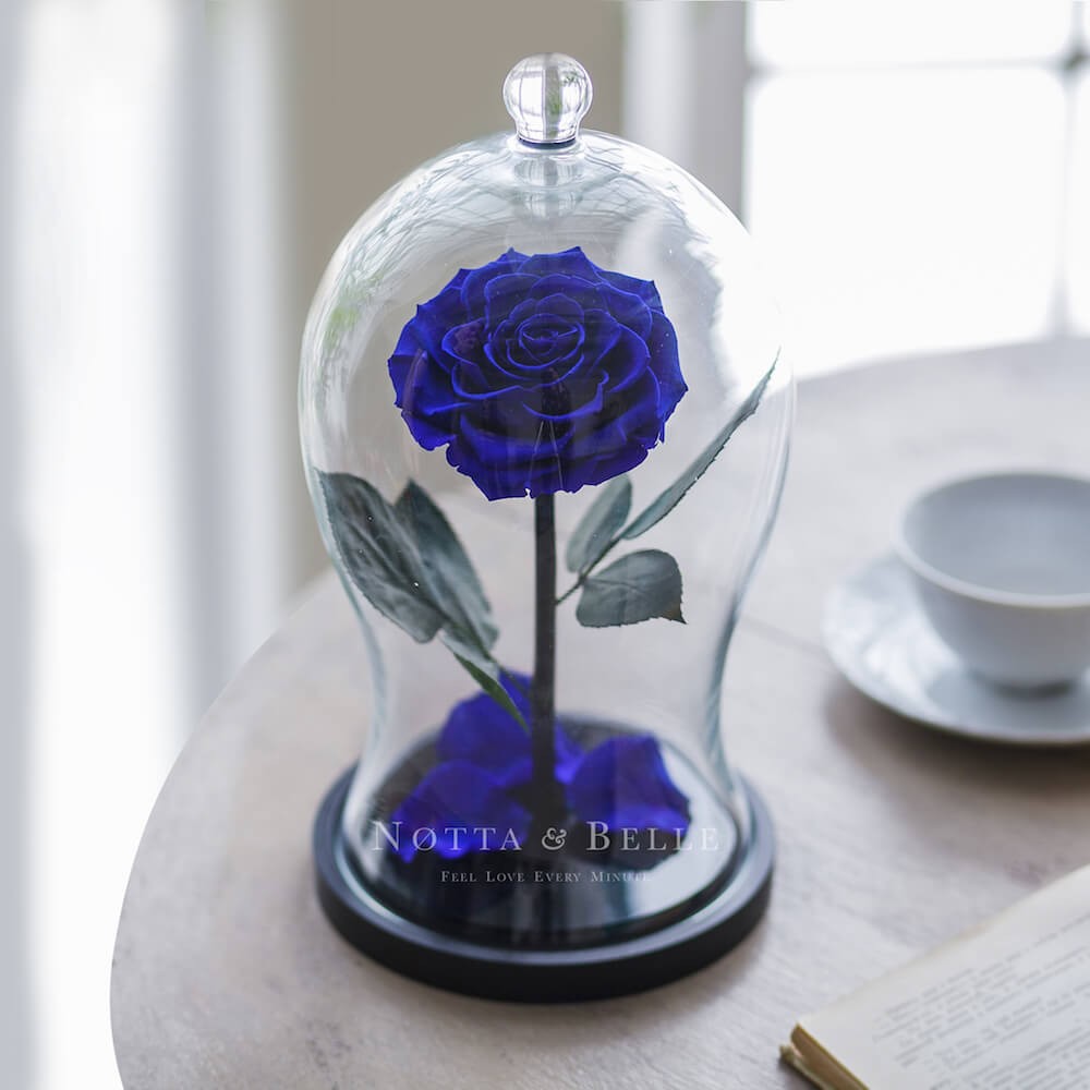 Rose Premium X Bleu foncé