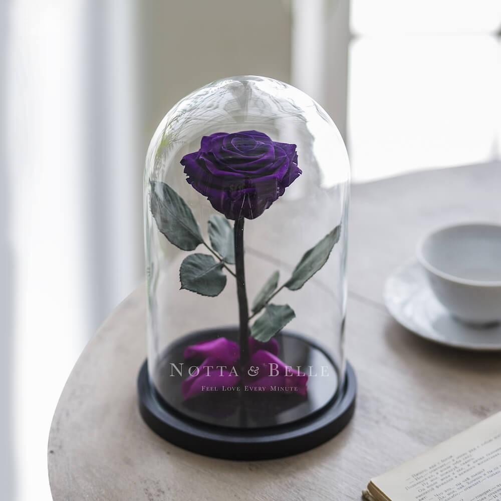 Premium fialová Růže ve skle
