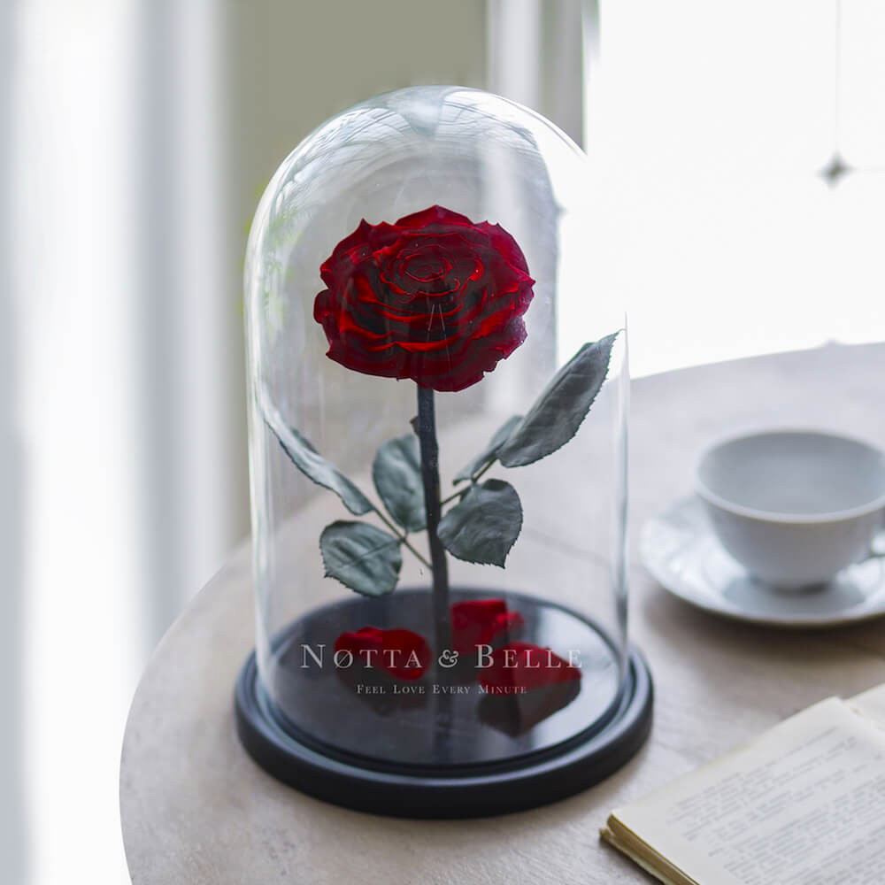 Rose King Satin Lie De Vin