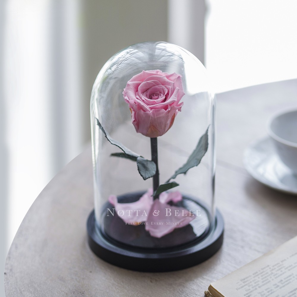 Mini jemně růžová Růže ve skle