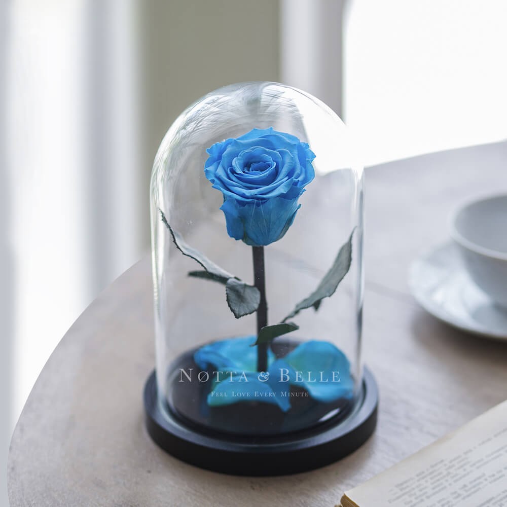 Rose Mini Bleue