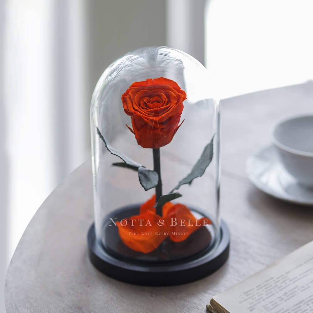 Rose Mini Orange