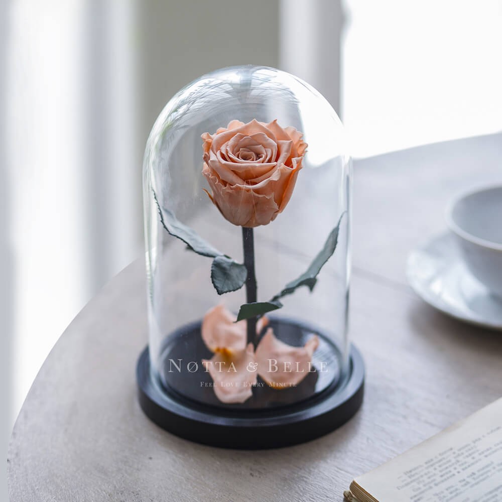 Rose Mini Perle dorée