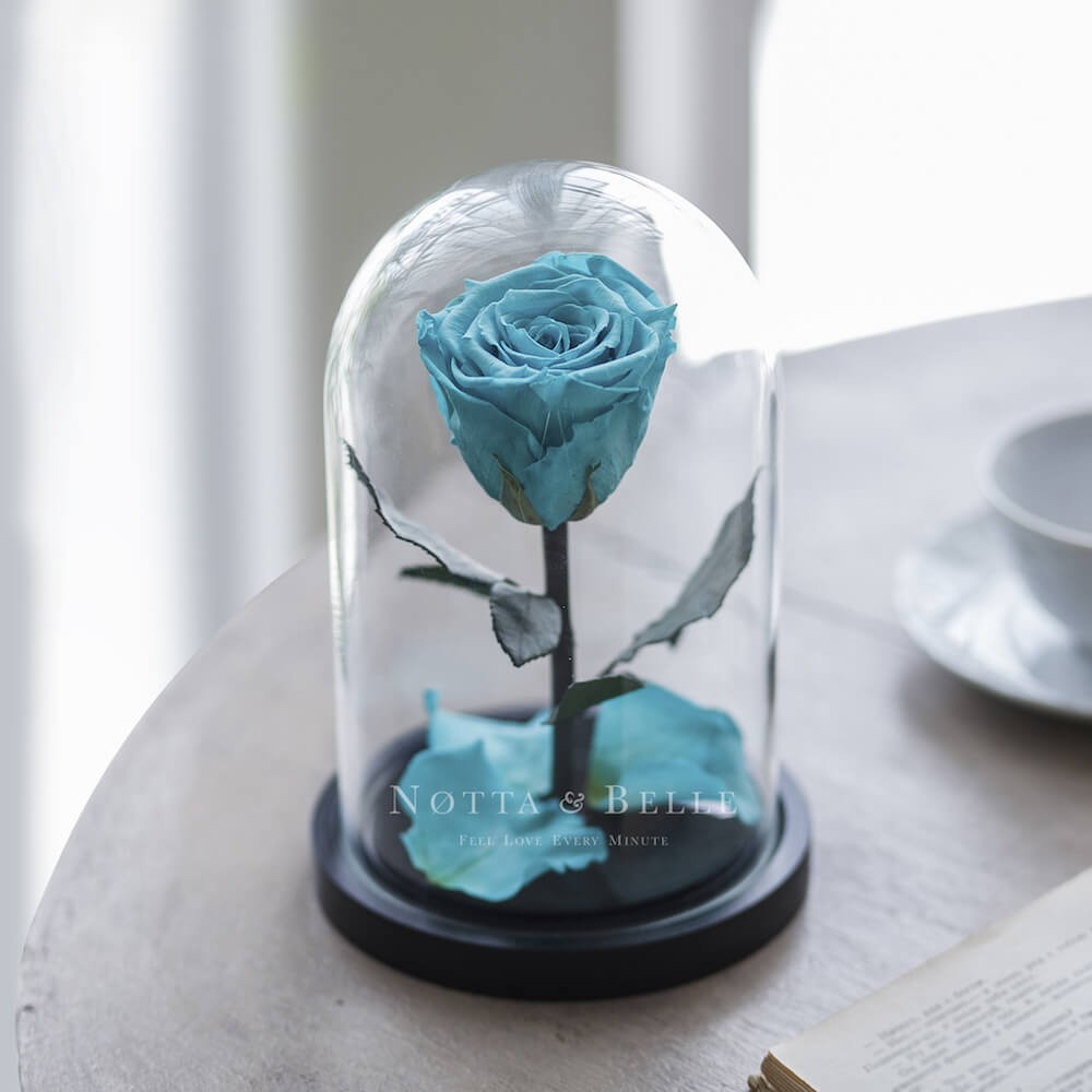 Rose Mini Turquoise